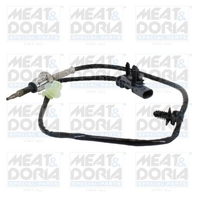 Sensor, exhaust gas temperature